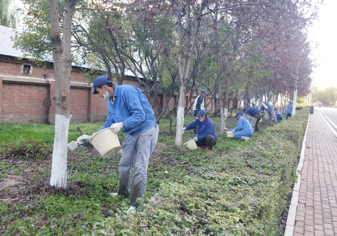 龙八- long8(国际)唯一官方网站